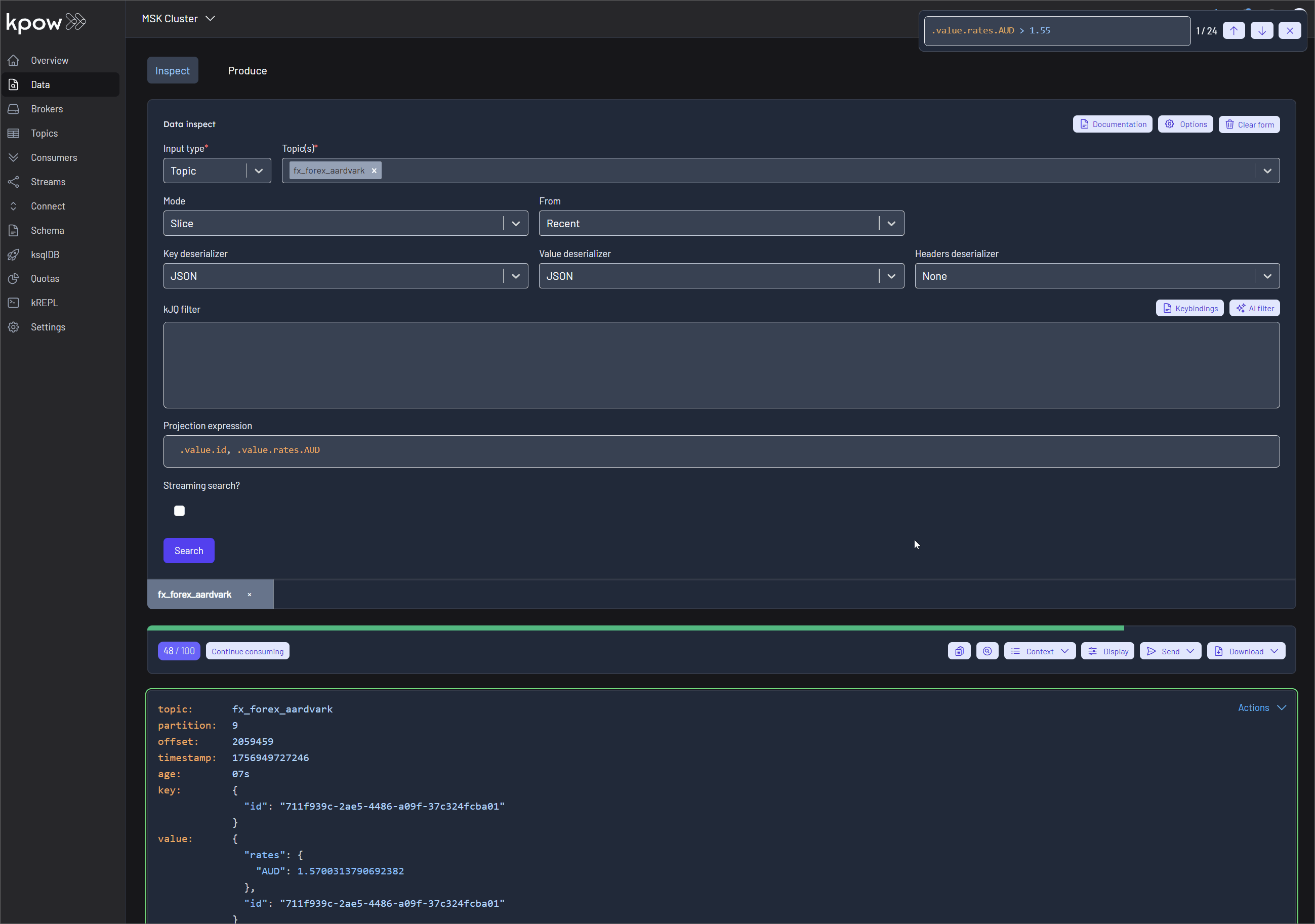 Data Inspect - In-Browser Search