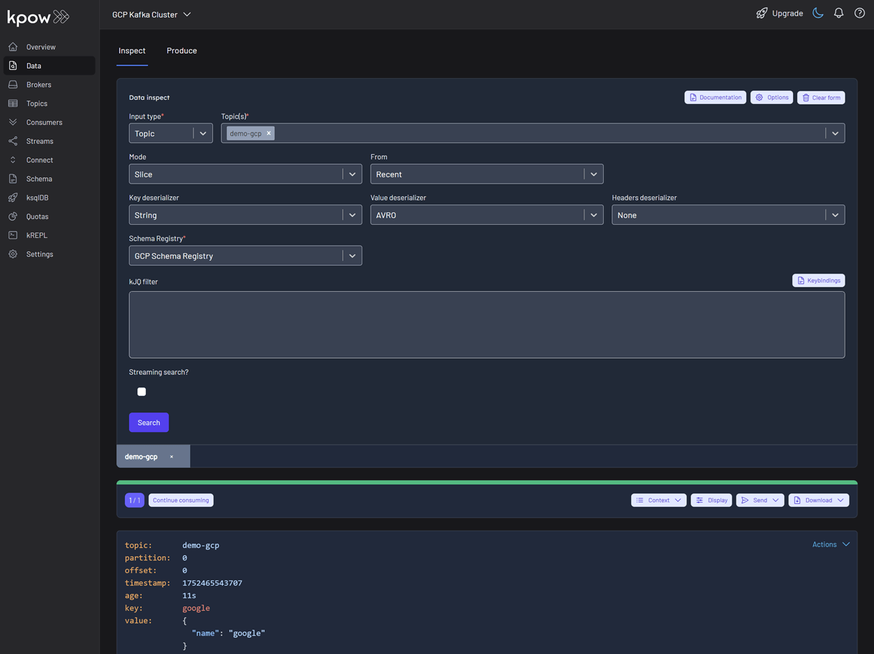 Inspect Records on GCP Registry